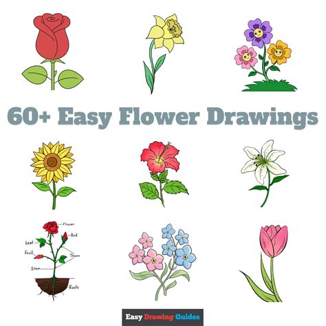 directed draw flowers|simple flower art drawing.